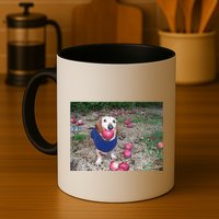 Apple Dog Meme Funny Dog With Apple In Mouth Funny Brainrot Mug