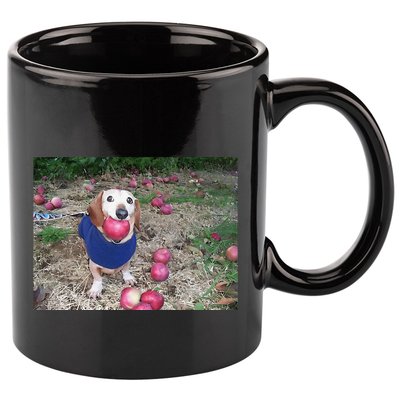 Apple Dog Meme Funny Dog With Apple In Mouth Funny Brainrot 11oz C Handle Ceramic Mug