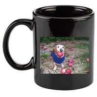 Apple Dog Meme Funny Dog With Apple In Mouth Funny Brainrot 11oz C Handle Ceramic Mug