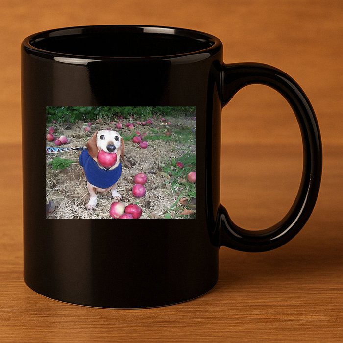 Apple Dog Meme Funny Dog With Apple In Mouth Funny Brainrot 11oz C Handle Ceramic Mug