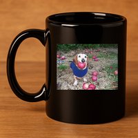 Apple Dog Meme Funny Dog With Apple In Mouth Funny Brainrot 11oz C Handle Ceramic Mug