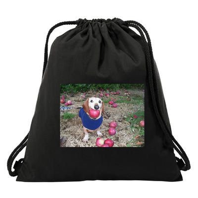 Apple Dog Meme Funny Dog With Apple In Mouth Funny Brainrot Drawstring Bag