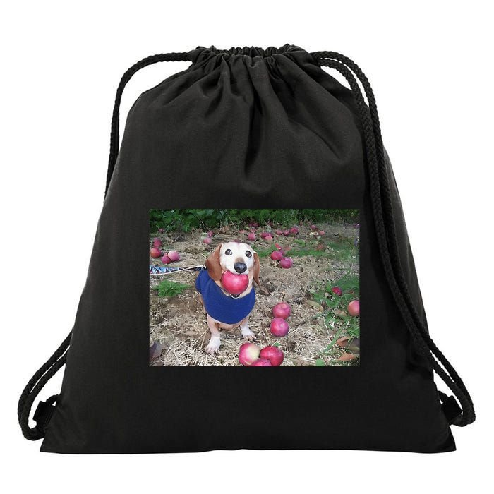 Apple Dog Meme Funny Dog With Apple In Mouth Funny Brainrot Drawstring Bag