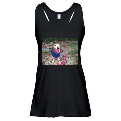 Apple Dog Meme Funny Dog With Apple In Mouth Funny Brainrot Ladies Essential Flowy Tank
