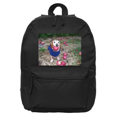 Apple Dog Meme Funny Dog With Apple In Mouth Funny Brainrot 16 in Basic Backpack