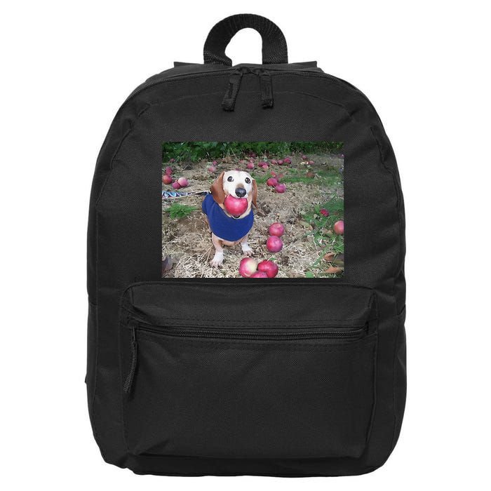 Apple Dog Meme Funny Dog With Apple In Mouth Funny Brainrot 16 in Basic Backpack