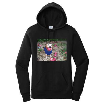 Apple Dog Meme Funny Dog With Apple In Mouth Funny Brainrot Women's Pullover Hoodie