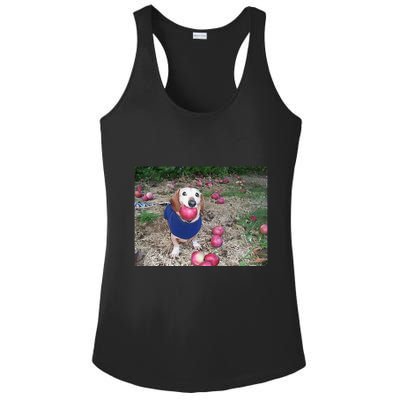 Apple Dog Meme Funny Dog With Apple In Mouth Funny Brainrot Ladies PosiCharge Competitor Racerback Tank