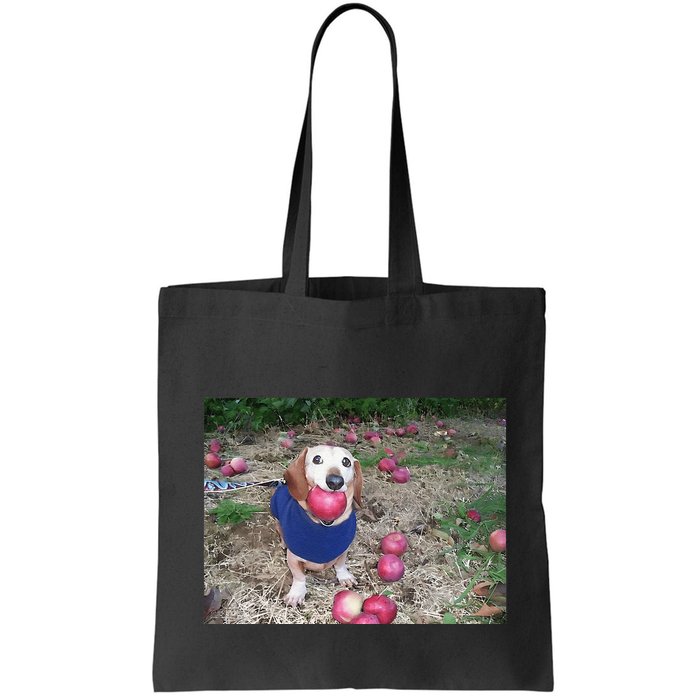 Apple Dog Meme Funny Dog With Apple In Mouth Funny Brainrot Bag