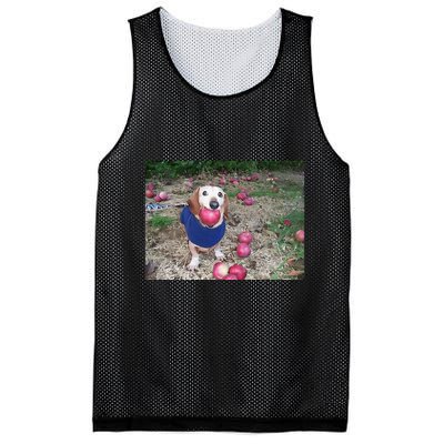 Apple Dog Meme Funny Dog With Apple In Mouth Funny Brainrot Mesh Reversible Basketball Jersey Tank