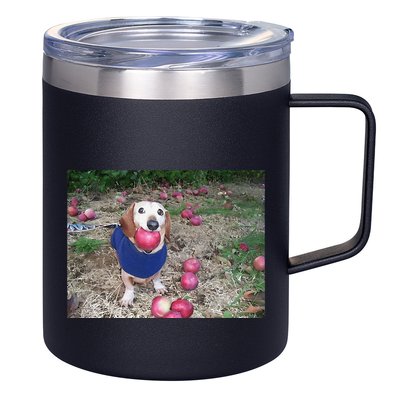Apple Dog Meme Funny Dog With Apple In Mouth Funny Brainrot 12oz Stainless Steel Coffee Mug
