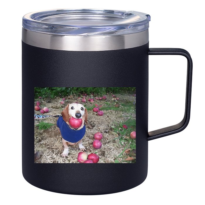 Apple Dog Meme Funny Dog With Apple In Mouth Funny Brainrot 12oz Stainless Steel Coffee Mug