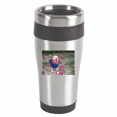 Apple Dog Meme Funny Dog With Apple In Mouth Funny Brainrot 16oz Travel Tumbler