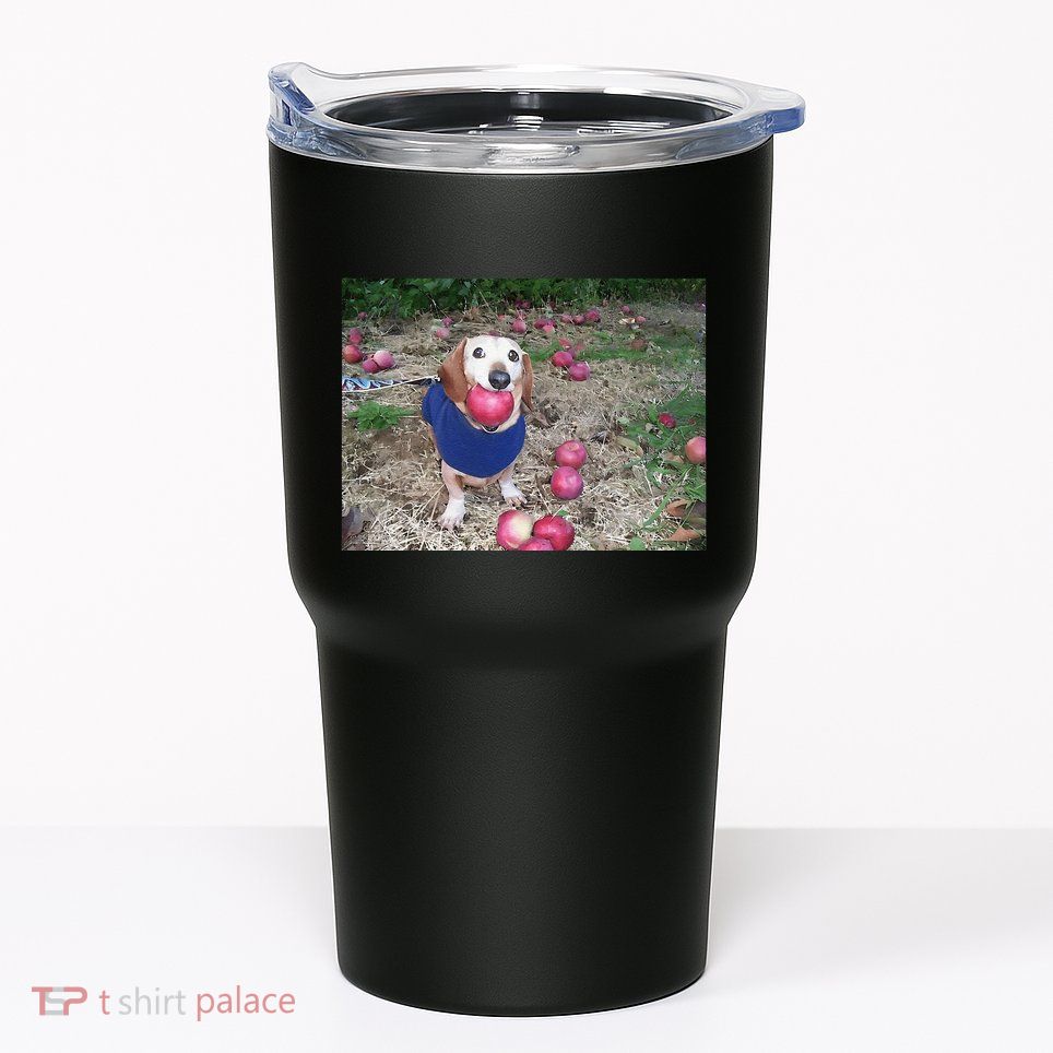 Apple Dog Meme Funny Dog With Apple In Mouth Funny Brainrot Tumbler