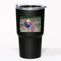 Apple Dog Meme Funny Dog With Apple In Mouth Funny Brainrot Tumbler
