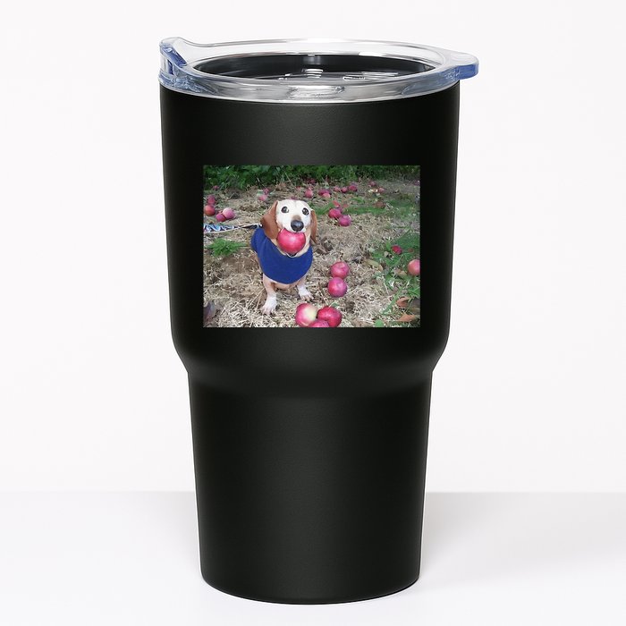 Apple Dog Meme Funny Dog With Apple In Mouth Funny Brainrot Tumbler