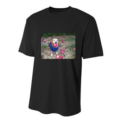 Apple Dog Meme Funny Dog With Apple In Mouth Funny Brainrot Youth Performance Sprint T-Shirt