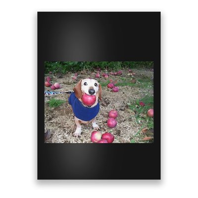 Apple Dog Meme Funny Dog With Apple In Mouth Funny Brainrot Poster