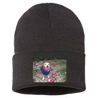 Apple Dog Meme Funny Dog With Apple In Mouth Funny Brainrot Sustainable Knit Beanie