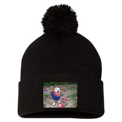 Apple Dog Meme Funny Dog With Apple In Mouth Funny Brainrot Pom Pom 12in Knit Beanie