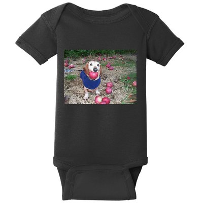 Apple Dog Meme Funny Dog With Apple In Mouth Funny Brainrot Baby Bodysuit
