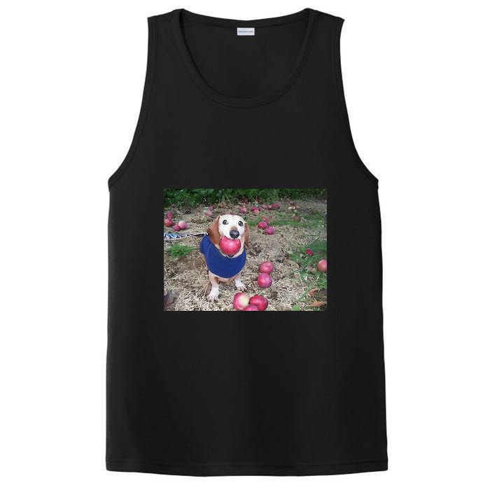 Apple Dog Meme Funny Dog With Apple In Mouth Funny Brainrot PosiCharge Competitor Tank