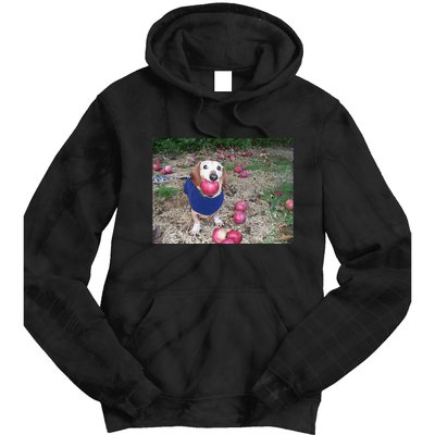 Apple Dog Meme Funny Dog With Apple In Mouth Funny Brainrot Tie Dye Hoodie