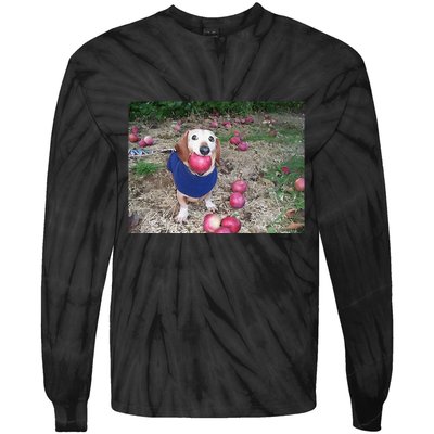 Apple Dog Meme Funny Dog With Apple In Mouth Funny Brainrot Tie-Dye Long Sleeve Shirt
