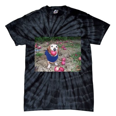 Apple Dog Meme Funny Dog With Apple In Mouth Funny Brainrot Tie-Dye T-Shirt