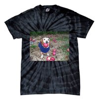 Apple Dog Meme Funny Dog With Apple In Mouth Funny Brainrot Tie-Dye T-Shirt
