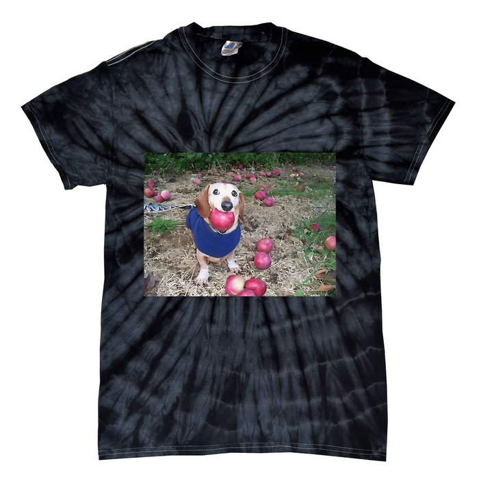 Apple Dog Meme Funny Dog With Apple In Mouth Funny Brainrot Tie-Dye T-Shirt