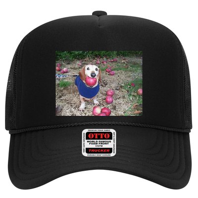 Apple Dog Meme Funny Dog With Apple In Mouth Funny Brainrot Trucker Hat
