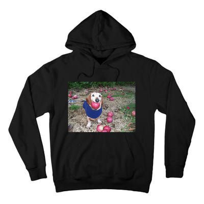 Apple Dog Meme Funny Dog With Apple In Mouth Funny Brainrot Tall Hoodie