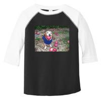 Apple Dog Meme Funny Dog With Apple In Mouth Funny Brainrot Toddler Fine Jersey T-Shirt