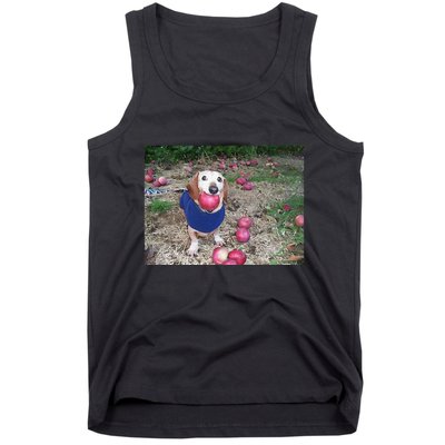 Apple Dog Meme Funny Dog With Apple In Mouth Funny Brainrot Tank Top