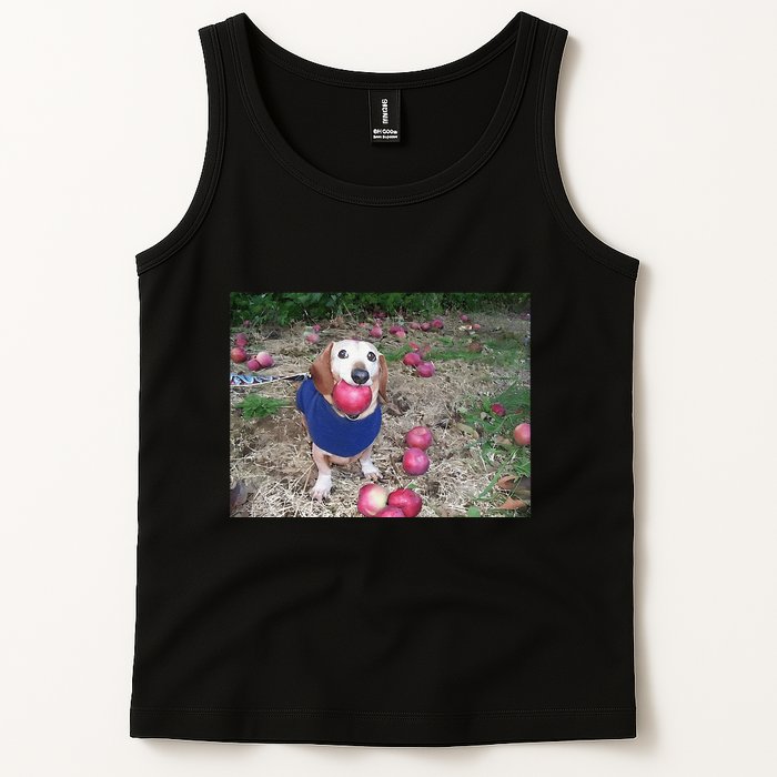 Apple Dog Meme Funny Dog With Apple In Mouth Funny Brainrot Tank Top