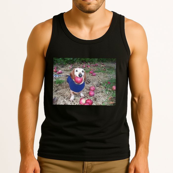 Apple Dog Meme Funny Dog With Apple In Mouth Funny Brainrot Tank Top