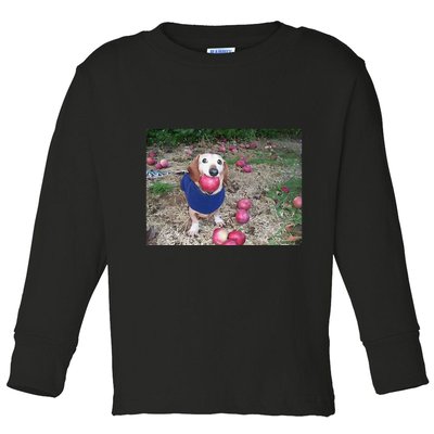 Apple Dog Meme Funny Dog With Apple In Mouth Funny Brainrot Toddler Long Sleeve Shirt
