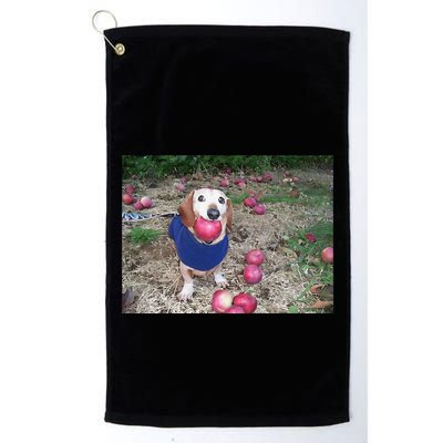 Apple Dog Meme Funny Dog With Apple In Mouth Funny Brainrot Golf Towel