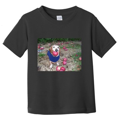 Apple Dog Meme Funny Dog With Apple In Mouth Funny Brainrot Toddler T-Shirt