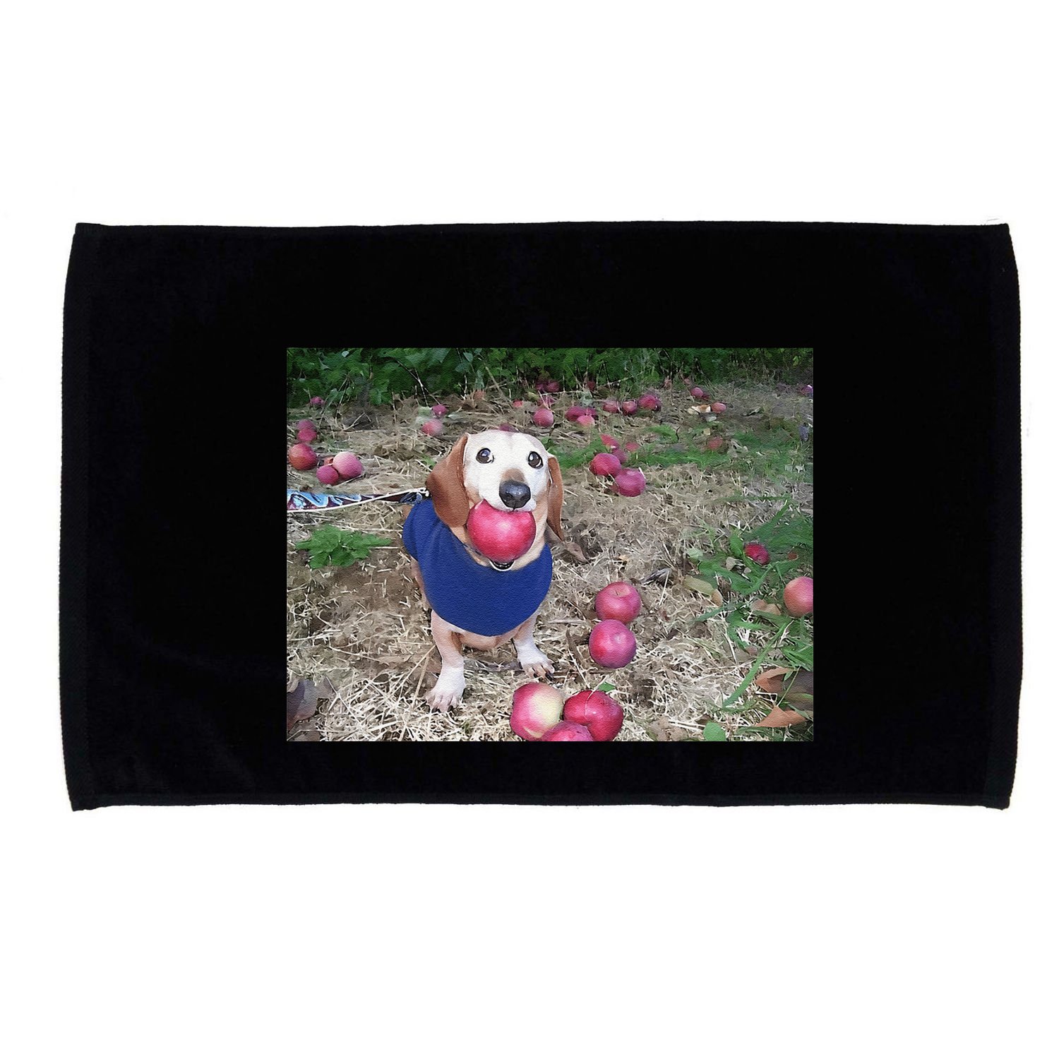 Apple Dog Meme Funny Dog With Apple In Mouth Funny Brainrot Microfiber Hand Towel