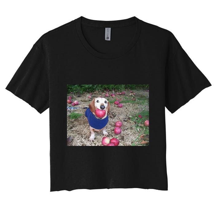 Apple Dog Meme Funny Dog With Apple In Mouth Funny Brainrot Crop Top