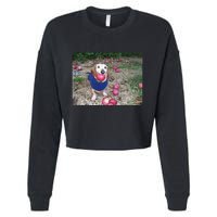 Apple Dog Meme Funny Dog With Apple In Mouth Funny Brainrot Cropped Pullover Crew