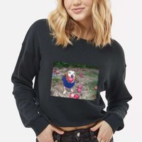 Apple Dog Meme Funny Dog With Apple In Mouth Funny Brainrot Cropped Pullover Crew