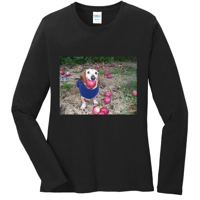 Apple Dog Meme Funny Dog With Apple In Mouth Funny Brainrot Ladies Long Sleeve Shirt