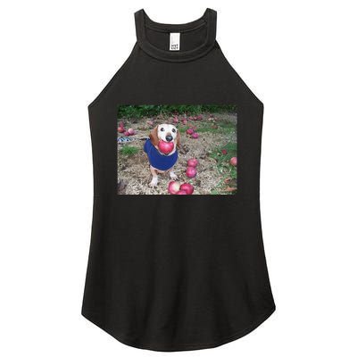 Apple Dog Meme Funny Dog With Apple In Mouth Funny Brainrot Women's Perfect Tri Rocker Tank