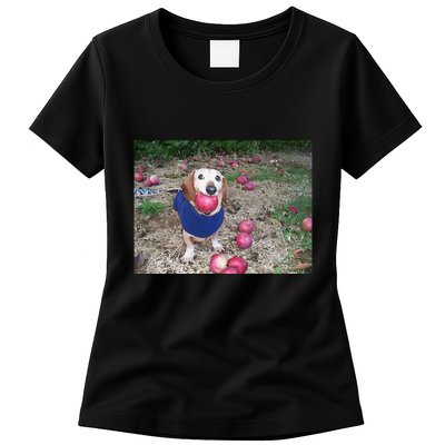 Apple Dog Meme Funny Dog With Apple In Mouth Funny Brainrot Womens T-Shirt