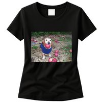 Apple Dog Meme Funny Dog With Apple In Mouth Funny Brainrot Womens T-Shirt