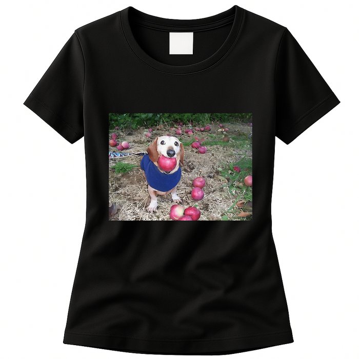 Apple Dog Meme Funny Dog With Apple In Mouth Funny Brainrot Womens T-Shirt