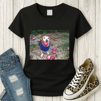 Apple Dog Meme Funny Dog With Apple In Mouth Funny Brainrot Womens T-Shirt